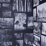 Logis De La Foret 3* Le Gâvre