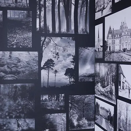 Logis De La Foret 3* Le Gâvre