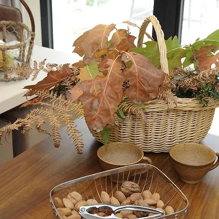 Logis De La Foret Hotel