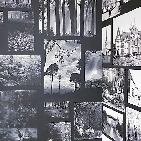 Hotel Logis De La Foret