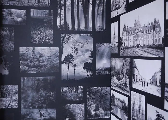 Logis De La Foret 3* Le Gâvre