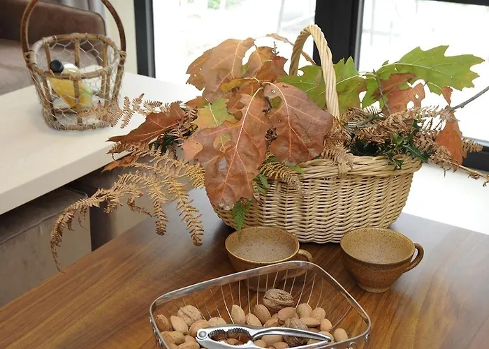 Logis De La Foret Hotel